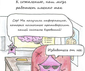 Психология работы нашего мозга