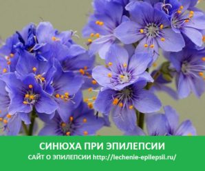 Синюха при эпилепсии