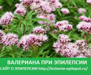 Валериана при эпилепсии